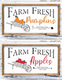 Farm fresh pumpkins and farm fresh apples signs with wheelbarrows full of produce.