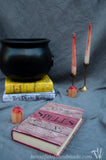 Free printable Halloween book covers for easy scary decorating. From Houseful of Handmade.