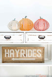 Textured Pumpkin Lantern Cut Files