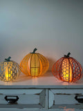 Textured Pumpkin Lantern Cut Files