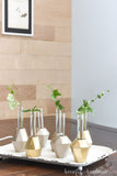 White tray with DIY plant propagation vases on it holding clipping of plants.