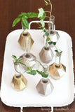 Looking down on a white tray plant propagation station: 7 jeweled test tube vases holding plant clippings.
