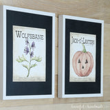 Wolfsbane and jack-o-lantern seed packet art framed with black mats and white frames. The perfect printable Halloween art.