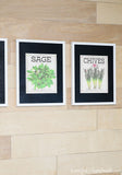 Sage and Chives vintaged herb prints in white frames with black mats. Housefulofhandmade.com