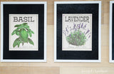 Basil and Lavendar watercolor herb prints in frames with black mats. Housefulofhandmade.com